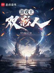 游戏王:双影人