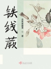 铁线蕨