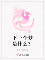 下一个梦是什么?