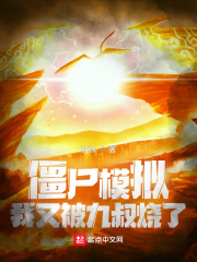 僵尸模拟,我又被九叔烧了